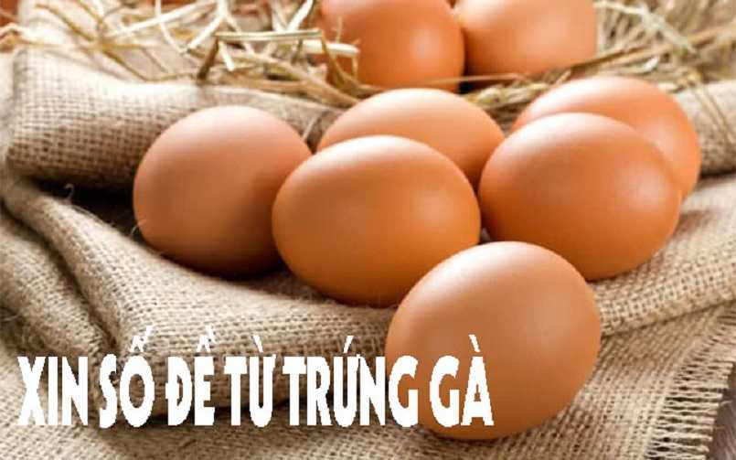 Khái quát chung về cách xin số đề bằng trứng gà Khái quát chung về cách xin số đề bằng trứng gà