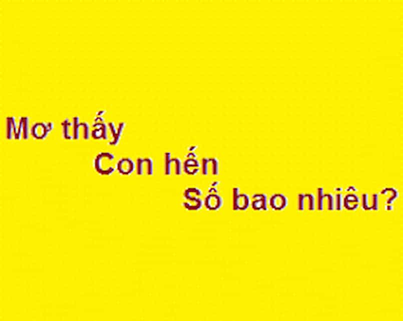 Mơ thấy con hến nên đánh số nào Mơ thấy con hến nên đánh số nào