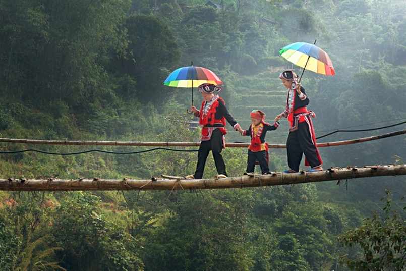 Mơ thấy đi qua cầu khỉ là điềm gì Mơ thấy đi qua cầu khỉ là điềm gì